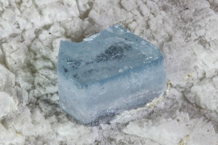 Aquamarine Crystal in Albite Crystal Matrix - Pakistan #111351